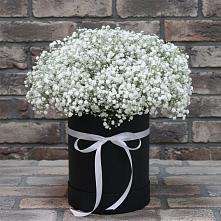 Цветочная композиция из Гипсофила в шляпной коробке в Юхнове